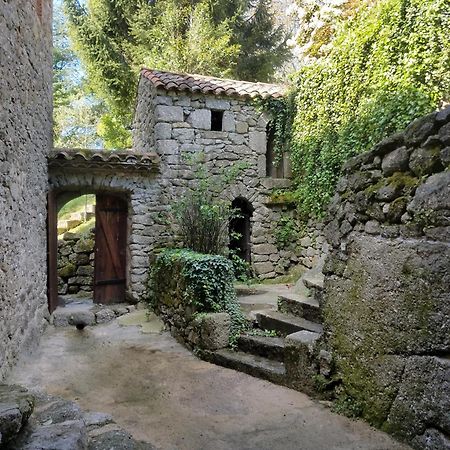 Gite Pommier Au Chateau Des Pauses Villa Saint-André-de-Majencoules Exteriör bild