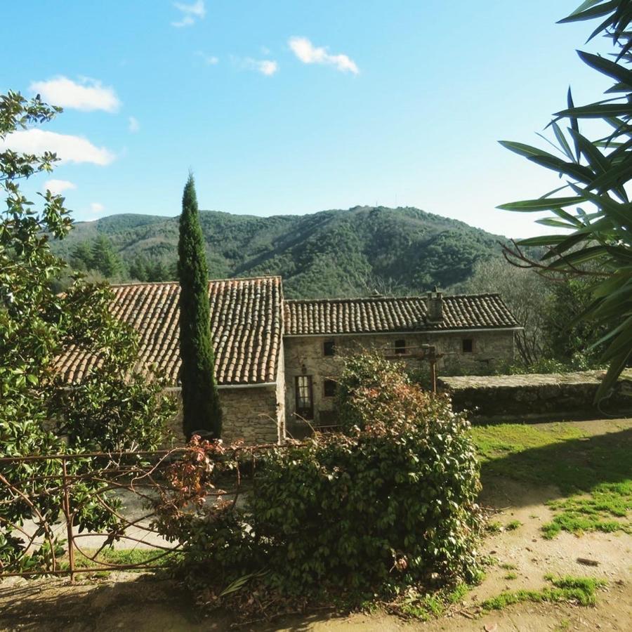 Gite Pommier Au Chateau Des Pauses Villa Saint-André-de-Majencoules Exteriör bild